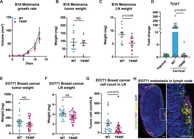 https://cdn.ncbi.nlm.nih.gov/pmc/blobs/85d8/10751244/bd8dbef04508/LSA-2023-02168_Fig2.jpg