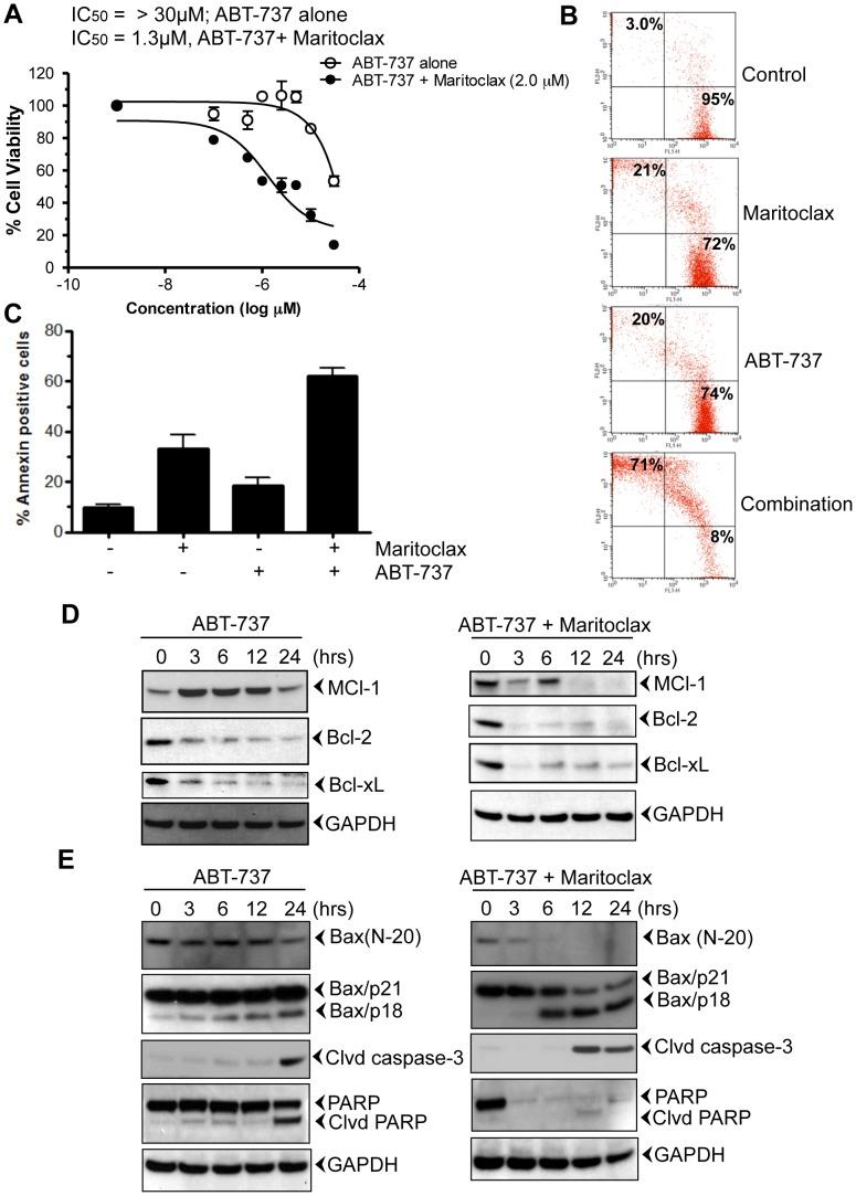 https://cdn.ncbi.nlm.nih.gov/pmc/blobs/85da/3817219/7a8ba66a820b/pone.0078570.g004.jpg