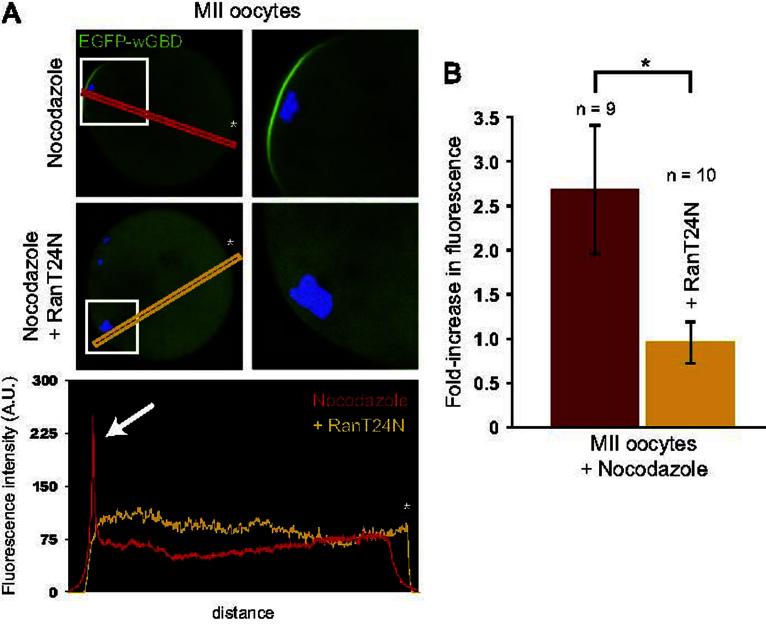 https://cdn.ncbi.nlm.nih.gov/pmc/blobs/85e1/3690527/8382cccaceb4/gr2.jpg