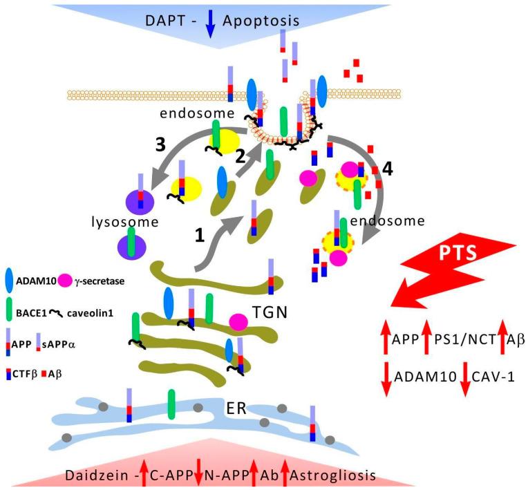 https://cdn.ncbi.nlm.nih.gov/pmc/blobs/85e1/9599860/d6dcaf3e47c0/biomedicines-10-02655-g009.jpg