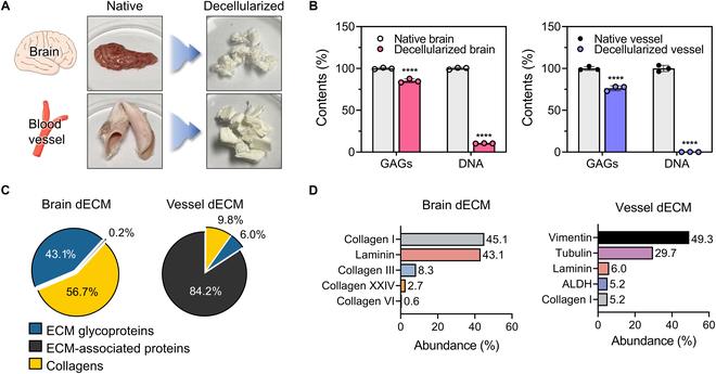 https://cdn.ncbi.nlm.nih.gov/pmc/blobs/85e2/11617618/b712a39925ef/bmr.0115.fig.002.jpg
