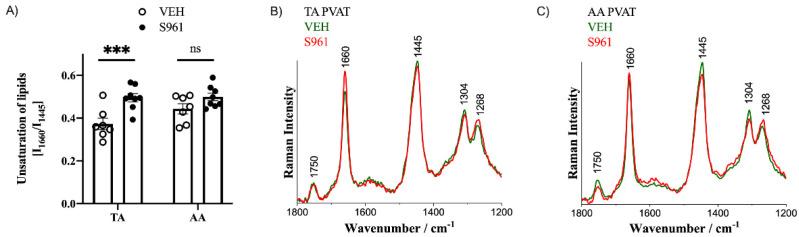 https://cdn.ncbi.nlm.nih.gov/pmc/blobs/85e6/8230211/72a9a95963bd/cells-10-01448-g005.jpg