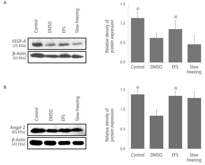 https://cdn.ncbi.nlm.nih.gov/pmc/blobs/85ee/3859015/1889a08b682d/ogs-56-382-g002.jpg