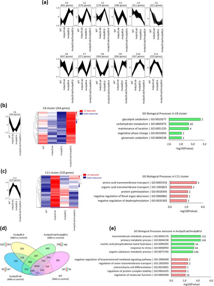 https://cdn.ncbi.nlm.nih.gov/pmc/blobs/85f2/11303550/9a1f1567e49d/41598_2024_69373_Fig2_HTML.jpg
