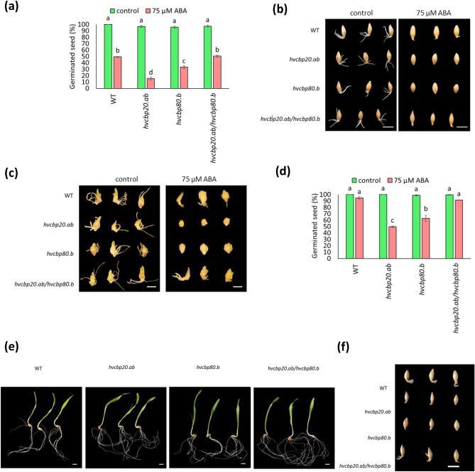 https://cdn.ncbi.nlm.nih.gov/pmc/blobs/85f2/11303550/b99924736a2c/41598_2024_69373_Fig1_HTML.jpg