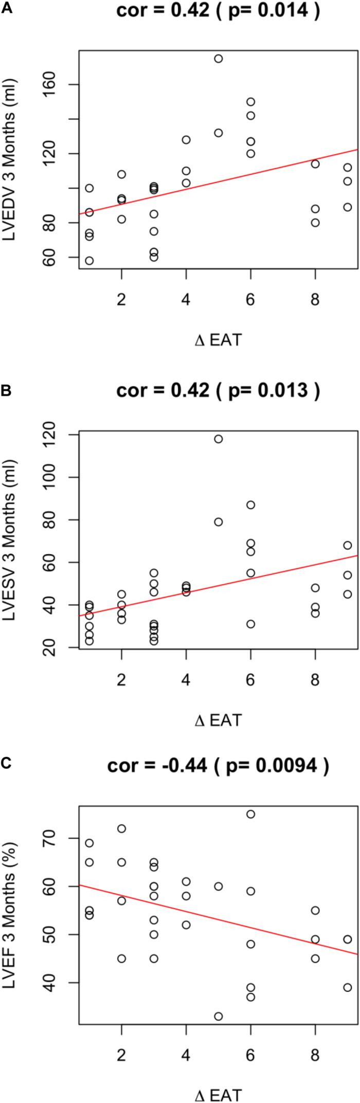 https://cdn.ncbi.nlm.nih.gov/pmc/blobs/85f2/7593695/38d4f0ef4294/fphys-11-575181-g002.jpg