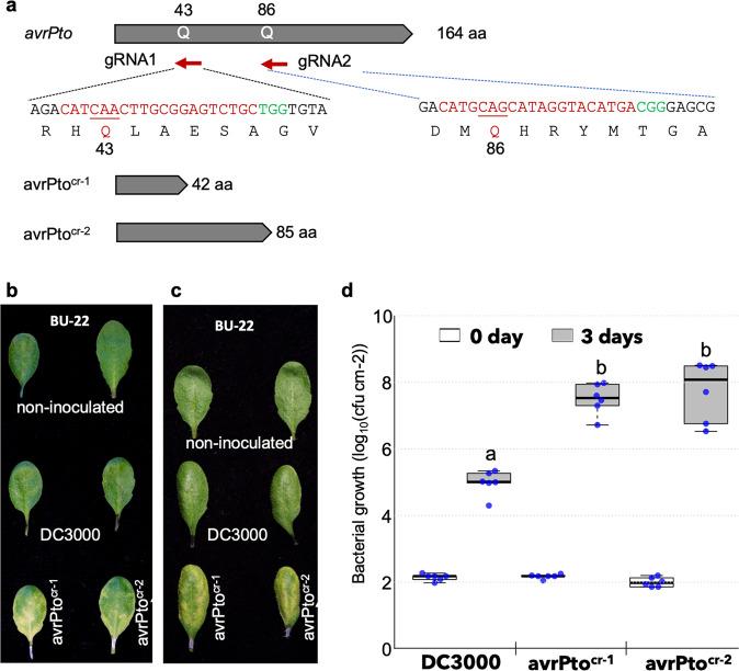 https://cdn.ncbi.nlm.nih.gov/pmc/blobs/85f2/9842757/b9622297d76c/42003_2023_4451_Fig3_HTML.jpg
