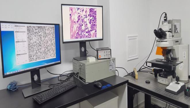 https://cdn.ncbi.nlm.nih.gov/pmc/blobs/85f4/10501295/9d51aff6d3e9/CAM4-12-17005-g007.jpg