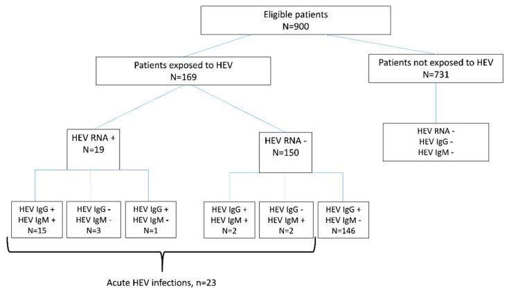 https://cdn.ncbi.nlm.nih.gov/pmc/blobs/85f4/6630816/5fdbe87bc5e4/viruses-11-00554-g001.jpg