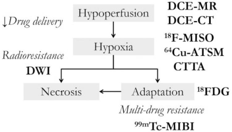 https://cdn.ncbi.nlm.nih.gov/pmc/blobs/85f5/3783115/463c23969598/ci13903903.jpg
