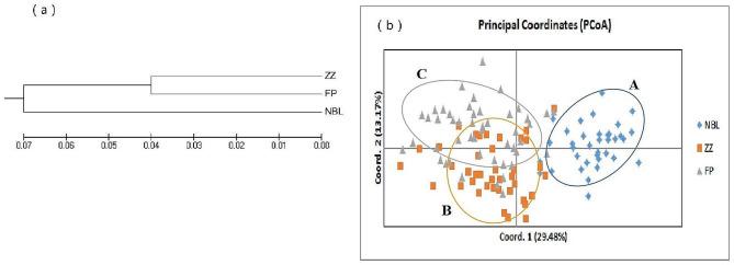 https://cdn.ncbi.nlm.nih.gov/pmc/blobs/85f8/10826085/cda32379b2cd/40850_2024_192_Fig3_HTML.jpg