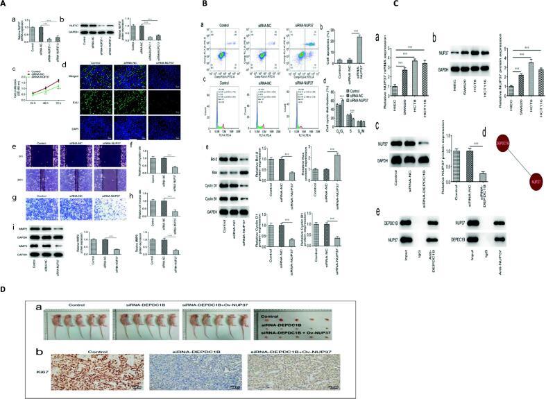https://cdn.ncbi.nlm.nih.gov/pmc/blobs/85f8/11976419/aecbfa0dd62a/gr3.jpg