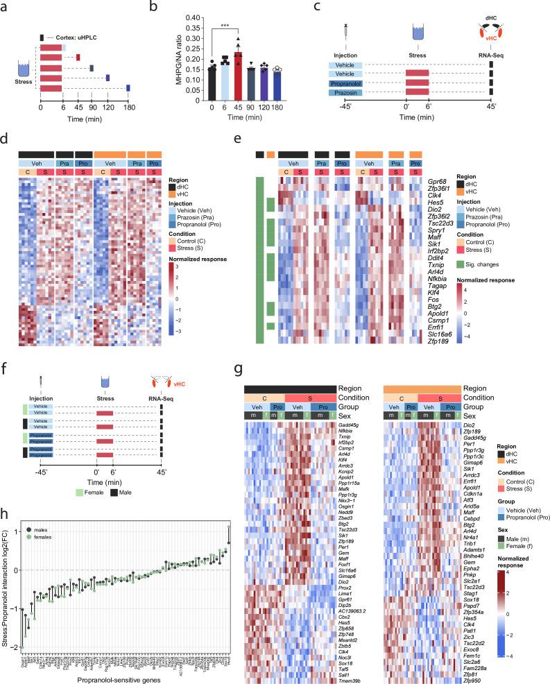 https://cdn.ncbi.nlm.nih.gov/pmc/blobs/85f9/10937036/518bf93f898c/elife-88559-fig1.jpg