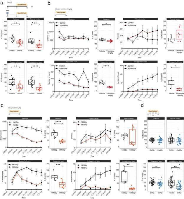 https://cdn.ncbi.nlm.nih.gov/pmc/blobs/85f9/10937036/522b21e5e156/elife-88559-sa2-fig3.jpg