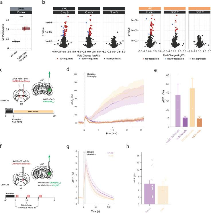 https://cdn.ncbi.nlm.nih.gov/pmc/blobs/85f9/10937036/8706062ec862/elife-88559-fig2-figsupp1.jpg