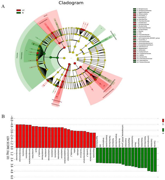 https://cdn.ncbi.nlm.nih.gov/pmc/blobs/85fb/10182990/d7fcd0da8210/41598_2023_34765_Fig4_HTML.jpg
