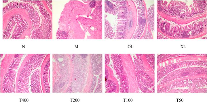 https://cdn.ncbi.nlm.nih.gov/pmc/blobs/85fb/11325667/574977f9fcc3/gr5.jpg