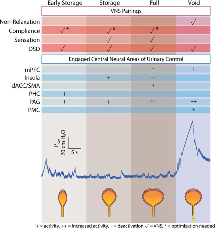 https://cdn.ncbi.nlm.nih.gov/pmc/blobs/85fc/12181832/85aabf8598f6/42234_2025_178_Fig1_HTML.jpg