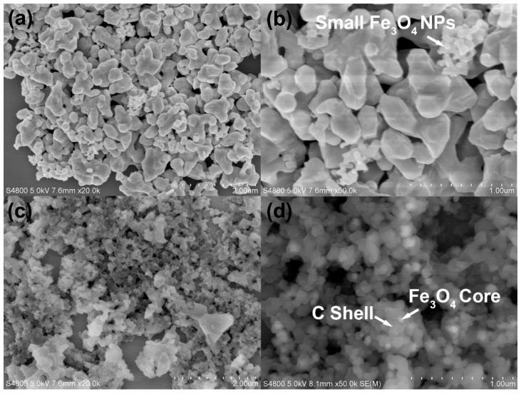 https://cdn.ncbi.nlm.nih.gov/pmc/blobs/85ff/6627466/225d628afd71/biomolecules-09-00245-g002.jpg