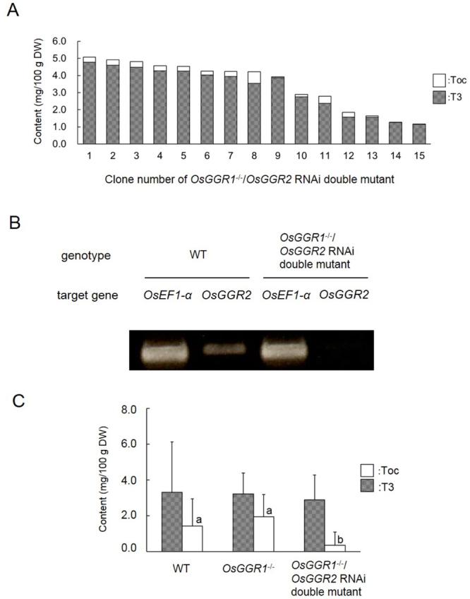 https://cdn.ncbi.nlm.nih.gov/pmc/blobs/8600/5789843/537f303c8940/41598_2018_19527_Fig5_HTML.jpg