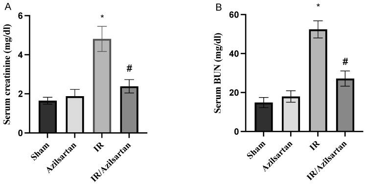 https://cdn.ncbi.nlm.nih.gov/pmc/blobs/8601/9818604/fcb69f6bcd33/cells-12-00185-g001.jpg