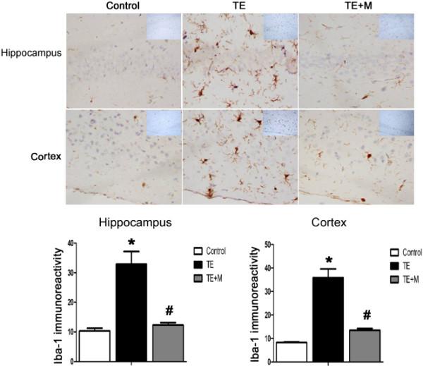 https://cdn.ncbi.nlm.nih.gov/pmc/blobs/8602/4143554/50052455b7aa/13071_2014_1554_Fig4_HTML.jpg