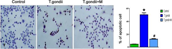 https://cdn.ncbi.nlm.nih.gov/pmc/blobs/8602/4143554/f2f28a40e50d/13071_2014_1554_Fig3_HTML.jpg