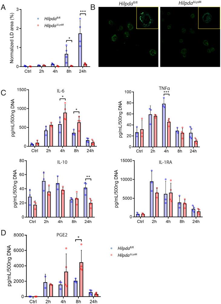 https://cdn.ncbi.nlm.nih.gov/pmc/blobs/8602/8944848/13af305b4a14/pnas.2114739119fig05.jpg