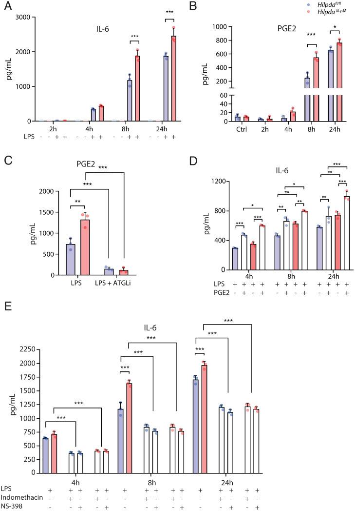 https://cdn.ncbi.nlm.nih.gov/pmc/blobs/8602/8944848/1ed318e239dc/pnas.2114739119fig07.jpg