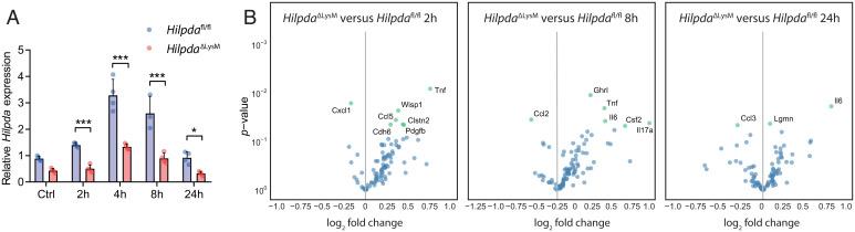 https://cdn.ncbi.nlm.nih.gov/pmc/blobs/8602/8944848/6fe2b512aa50/pnas.2114739119fig03.jpg