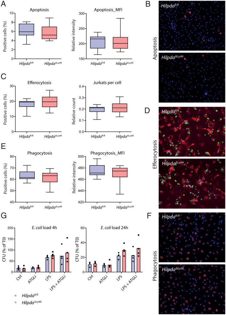 https://cdn.ncbi.nlm.nih.gov/pmc/blobs/8602/8944848/f35aff21de4c/pnas.2114739119fig06.jpg