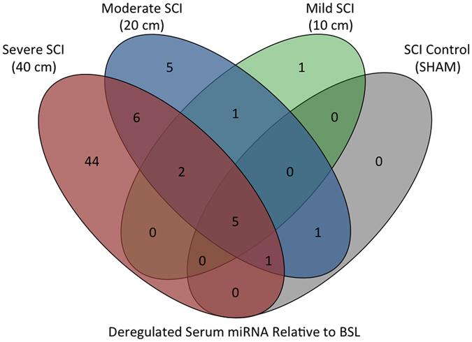 https://cdn.ncbi.nlm.nih.gov/pmc/blobs/8603/5431108/416e58e66081/41598_2017_1299_Fig5_HTML.jpg