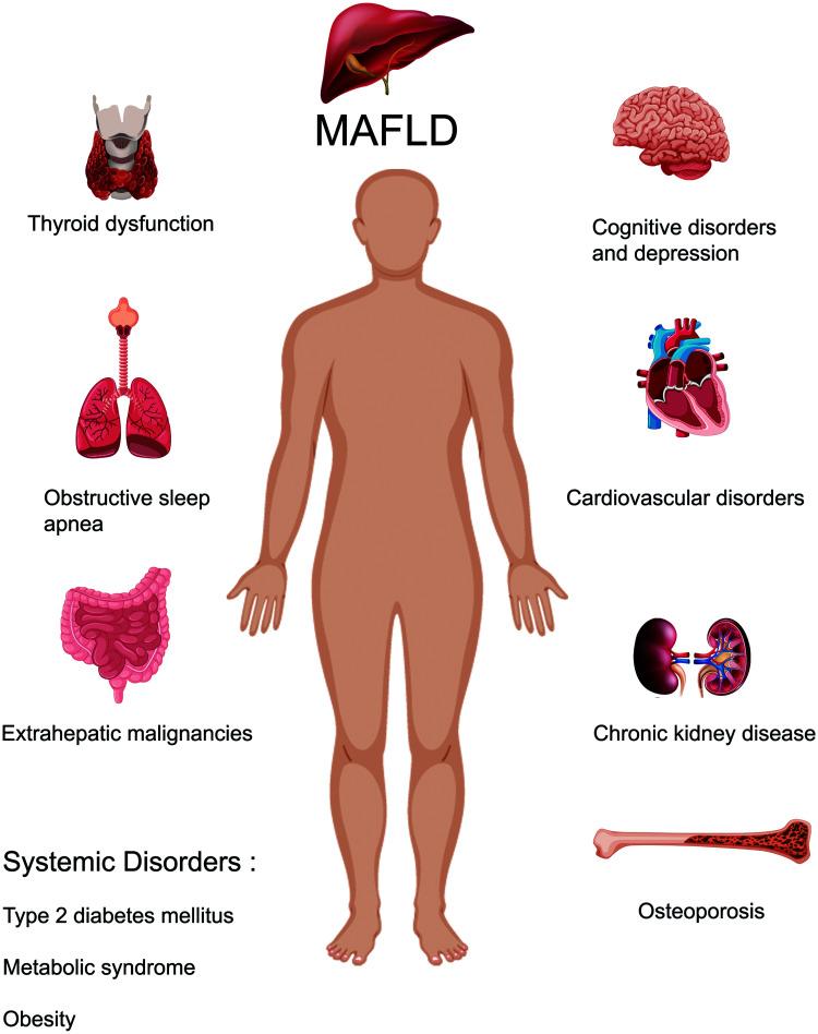 https://cdn.ncbi.nlm.nih.gov/pmc/blobs/8605/9039705/3b6a60d7fadc/JCTH-10-329-g001.jpg