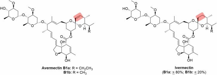 https://cdn.ncbi.nlm.nih.gov/pmc/blobs/8606/8970615/bd77b79990ab/gr4_lrg.jpg