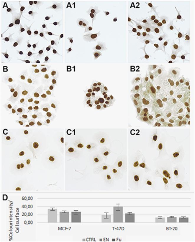 https://cdn.ncbi.nlm.nih.gov/pmc/blobs/8607/7774761/442b19913810/EC-20-0281fig3.jpg