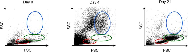 https://cdn.ncbi.nlm.nih.gov/pmc/blobs/8609/8093890/7967656df71e/gr2.jpg