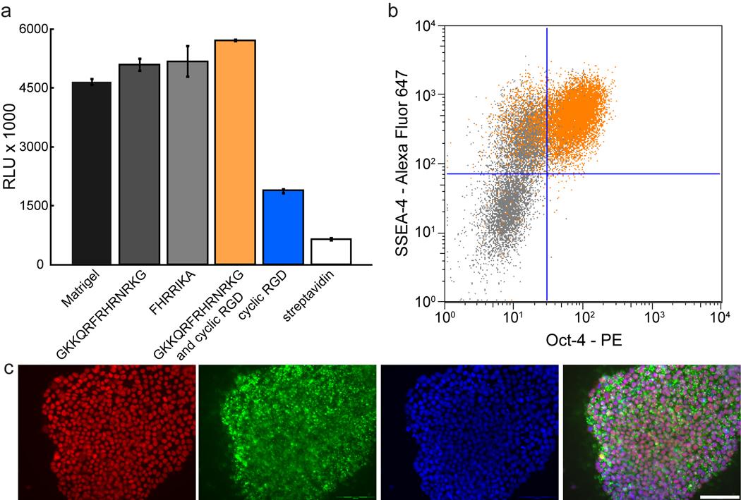 https://cdn.ncbi.nlm.nih.gov/pmc/blobs/860a/2994976/d629df42c826/nihms247579f5.jpg