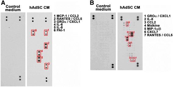 https://cdn.ncbi.nlm.nih.gov/pmc/blobs/860a/5532814/3d7da0e2caa2/13287_2017_630_Fig3_HTML.jpg