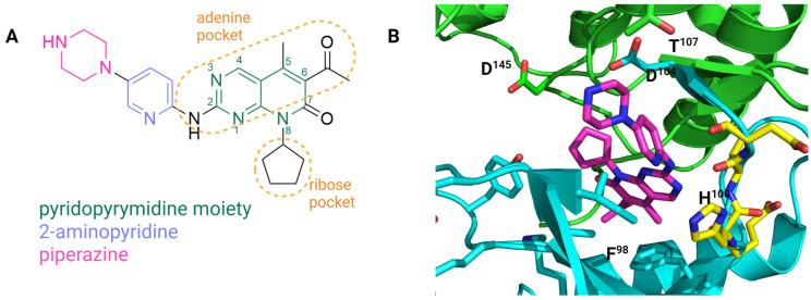 https://cdn.ncbi.nlm.nih.gov/pmc/blobs/860d/11596203/e9ca36697727/molecules-29-05334-g004.jpg