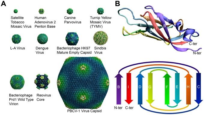 https://cdn.ncbi.nlm.nih.gov/pmc/blobs/860d/3567143/0d73acf758f3/pcbi.1002905.g001.jpg