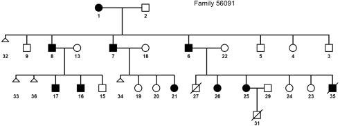 https://cdn.ncbi.nlm.nih.gov/pmc/blobs/860f/2268860/d8c0d1ba1433/mv-v14-530-f1.jpg
