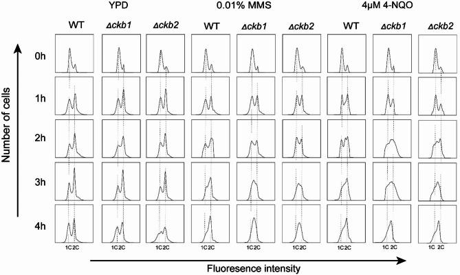 https://cdn.ncbi.nlm.nih.gov/pmc/blobs/8611/10612253/d4d67b44796a/12866_2023_3069_Fig4_HTML.jpg