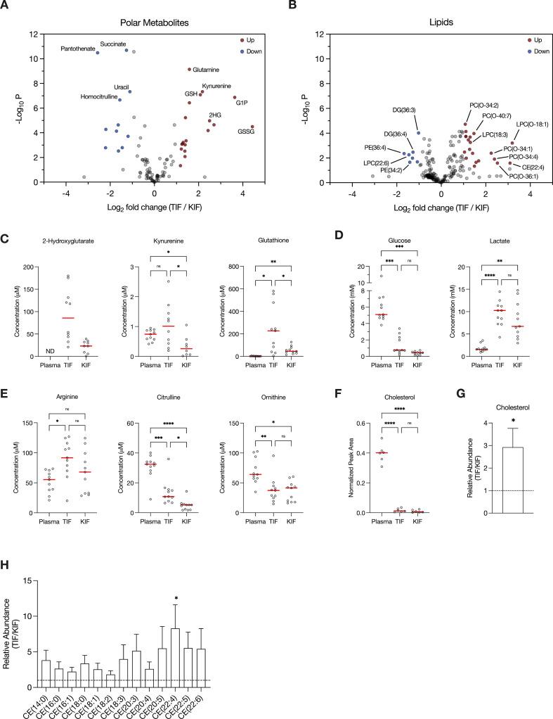 https://cdn.ncbi.nlm.nih.gov/pmc/blobs/8611/11126308/29a03c878788/elife-95652-fig2.jpg