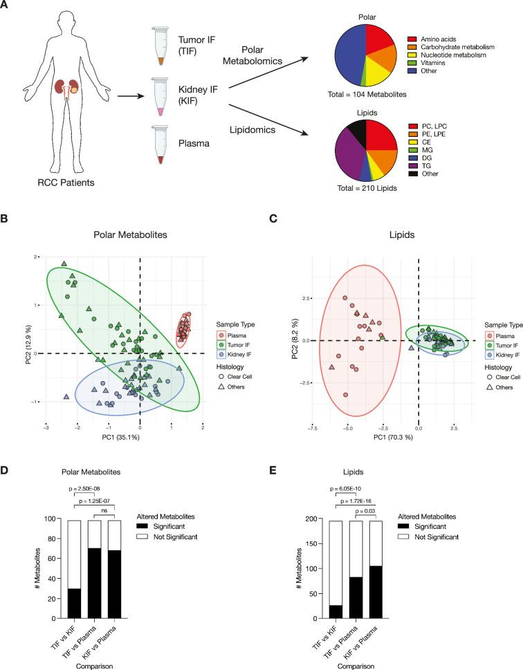 https://cdn.ncbi.nlm.nih.gov/pmc/blobs/8611/11126308/4f5801c227d3/elife-95652-fig1.jpg