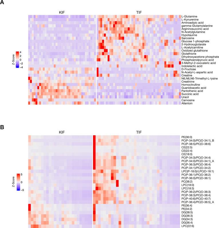 https://cdn.ncbi.nlm.nih.gov/pmc/blobs/8611/11126308/b68945841a74/elife-95652-fig2-figsupp1.jpg