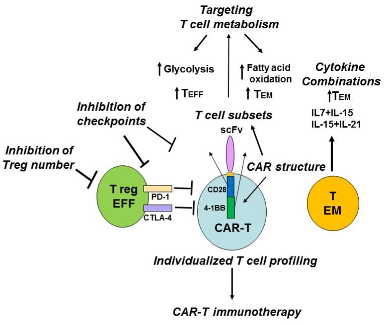 https://cdn.ncbi.nlm.nih.gov/pmc/blobs/8612/4810120/6ea70d50ae6d/cancers-08-00036-g006.jpg