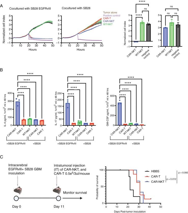https://cdn.ncbi.nlm.nih.gov/pmc/blobs/8613/12080550/080749be9a21/vdaf074_fig3.jpg