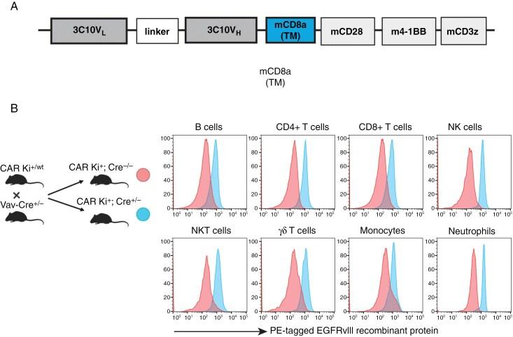 https://cdn.ncbi.nlm.nih.gov/pmc/blobs/8613/12080550/355b91d81747/vdaf074_fig1.jpg