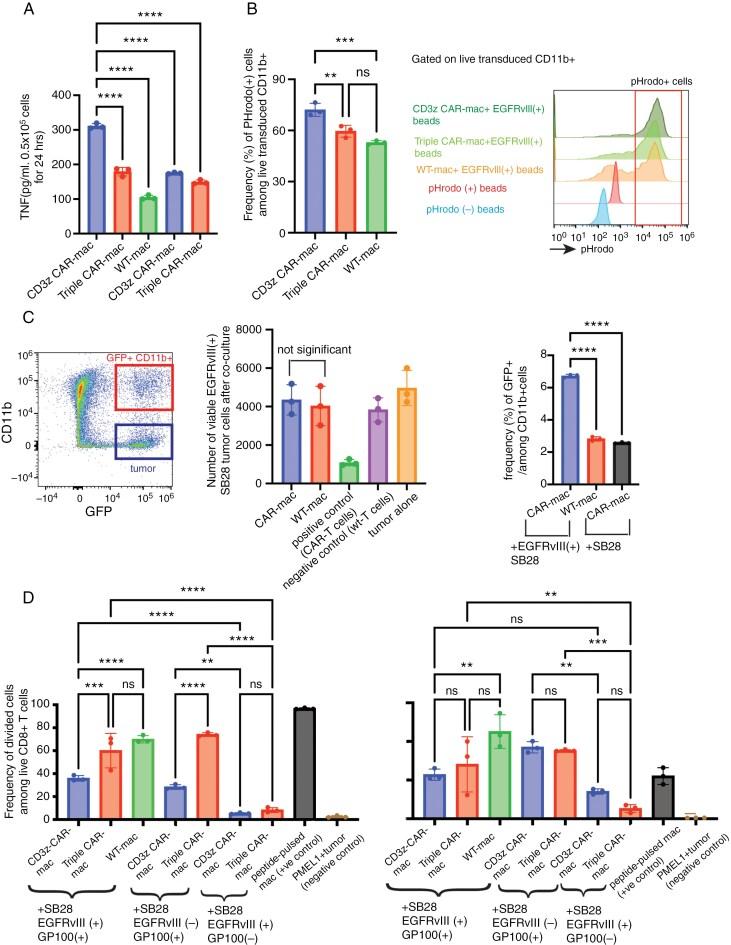 https://cdn.ncbi.nlm.nih.gov/pmc/blobs/8613/12080550/3eed65a1faae/vdaf074_fig5.jpg