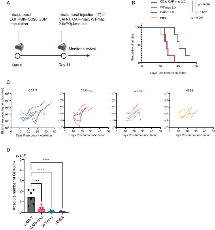 https://cdn.ncbi.nlm.nih.gov/pmc/blobs/8613/12080550/9ab69bc740cb/vdaf074_fig6.jpg